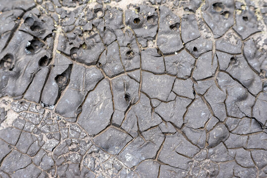 Texture old bitumen