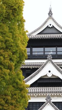 Kumamoto Castle, exterior view, Kumamoto city, Chuo-ku, Kyushu island region, Japan, spring landscape view and blooming sakura cherry blossom, Kumamoto prefecture, travel to Japan, Japanese castle