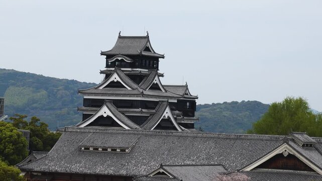 Kumamoto Castle, exterior view, Kumamoto city, Chuo-ku, Kyushu island region, Japan, spring landscape view and blooming sakura cherry blossom, Kumamoto prefecture, travel to Japan, Japanese castle