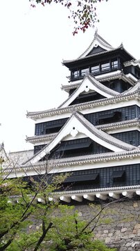 Kumamoto Castle, exterior view, Kumamoto city, Chuo-ku, Kyushu island region, Japan, spring landscape view and blooming sakura cherry blossom, Kumamoto prefecture, travel to Japan, Japanese castle
