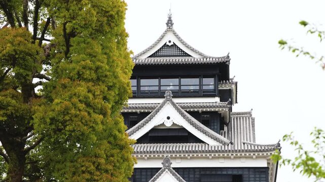 Kumamoto Castle, exterior view, Kumamoto city, Chuo-ku, Kyushu island region, Japan, spring landscape view and blooming sakura cherry blossom, Kumamoto prefecture, travel to Japan, Japanese castle