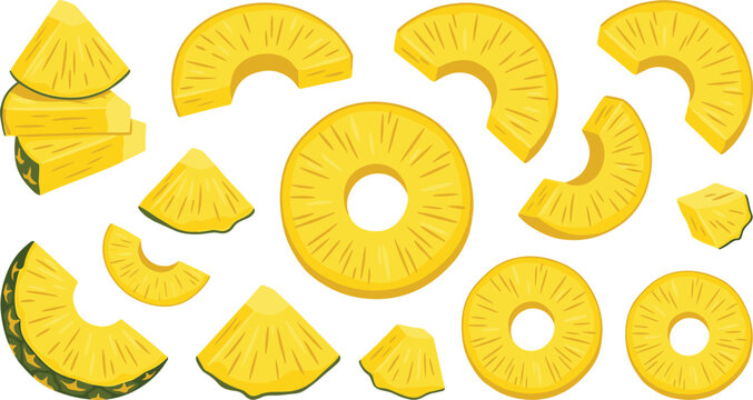 Fresh pineapple slices and rings vector illustration collection featuring sweet tropical fruit chunks segments half rings and round pieces isolated on white background