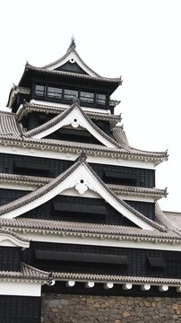 Kumamoto Castle, exterior view, Kumamoto city, Chuo-ku, Kyushu island region, Japan, spring landscape view and blooming sakura cherry blossom, Kumamoto prefecture, travel to Japan, Japanese castle