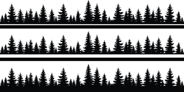 Evergreen forest silhouette rows with pine and fir trees in layered landscape design for vector artwork