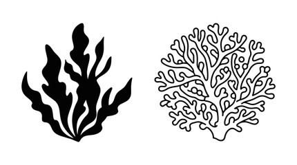 Seaweed and coral line art black and white botanical illustrations © Imagevector