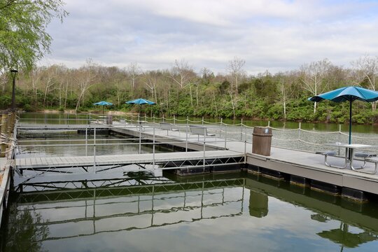 The docks at the lake in the park.
