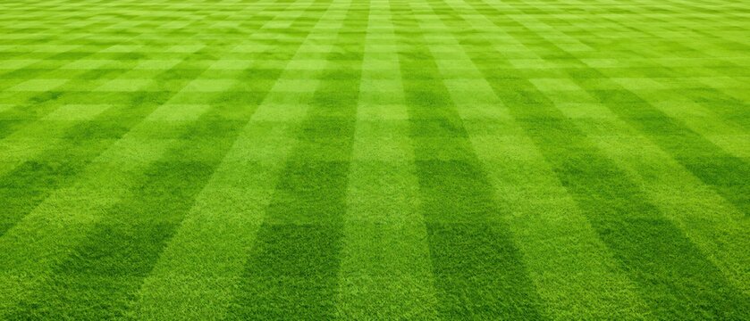 bright green sports field turf with checkerboard mowing pattern and wide perspective, fresh professional grass surface, concept of football, landscaping, stadium maintenance