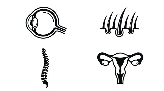 Black line art icons of fallopian tube, ovary, cervix and hair Vector