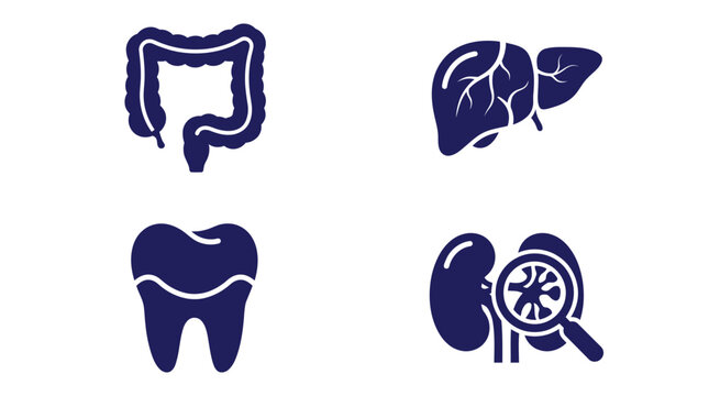 Medical organ icons set including kidney tooth liver and colon Vector