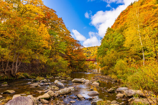 The spectacular view of The red Futami Suspension Bridge over Toyohira River with beautiful fall colors on the riverside cliffs in Jozankei Onsen, Hokkaido, Japan