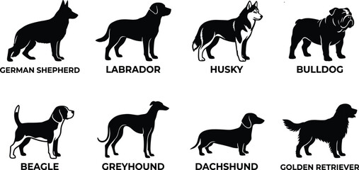 Popular dog breed silhouette collection featuring German Shepherd, Labrador, Husky, Bulldog, Beagle, Greyhound, Dachshund, and Golden Retriever © MstMostarina