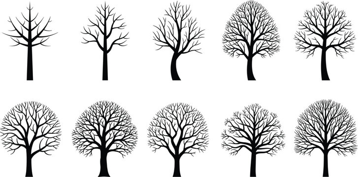 Leafless tree silhouette vector illustration set with diverse branching patterns