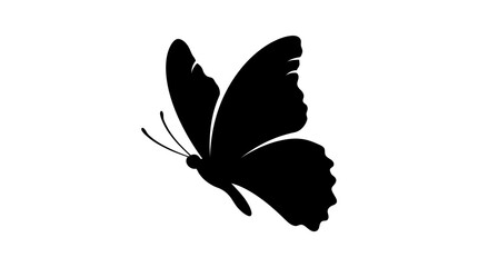 Black butterfly silhouette on a white background simple insect shape © Photo Sell