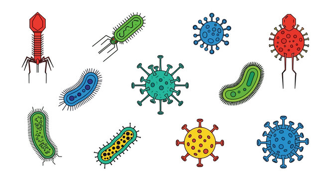 Colorful bacteria and virus illustrations.