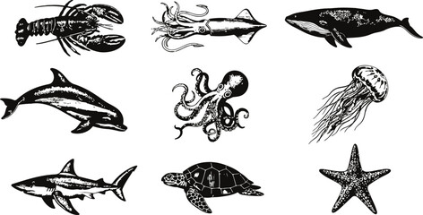 A collection of marine creatures rendered in classic engraving style with a white background for seamless integration in designs © sakib