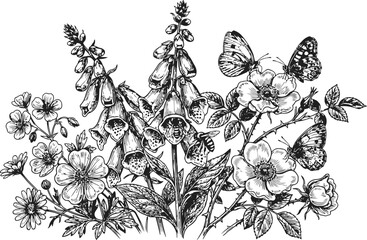 Fototapeta premium Botanical engraving of foxgloves and wild roses with butterflies during summer for organic design projects