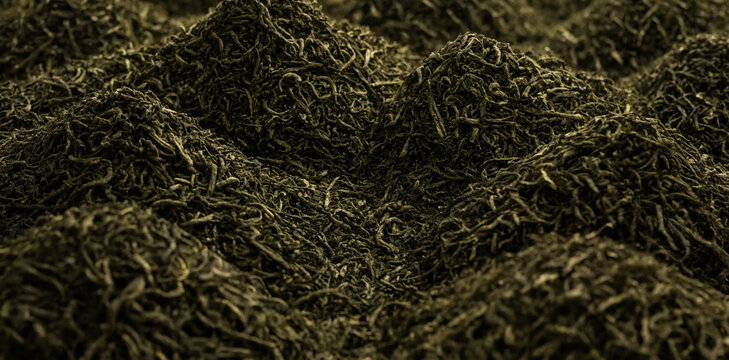 Close-up of dried tea leaves with dark green tones and textured surface leaves background dried herb background beverage infusion botanical ingredient cultivation wellness traditional