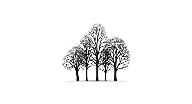 Group of bare trees standing together.