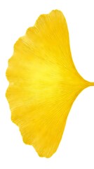 Naklejka premium Bright yellow ginkgo leaf with detailed vein texture on white background, isolated botanical element suitable for design projects, textiles, and decorative applications.