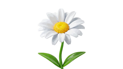 Obraz premium Vector illustration of a beautiful white daisy flower with a yellow center on a transparent background