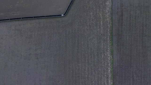 Aerial view of rice paddy field with cracked soil texture. Ideal for agricultural and farming concepts