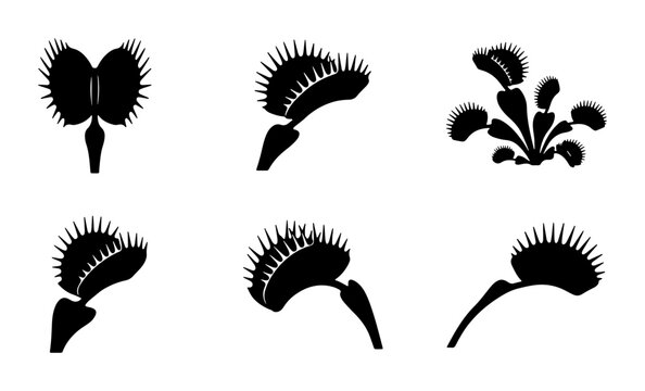 Venus Flytrap Icons, Carnivorous Plant Silhouettes, Insectivorous Botanical Vector Set