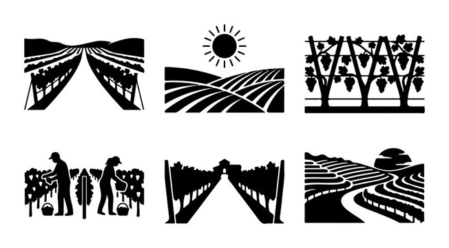 Vineyard Icons, Winery Graphics, Agricultural Landscape Vector Set