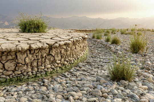 Dry Cracked Landscape With Stone Path and Sparse Desert Plants