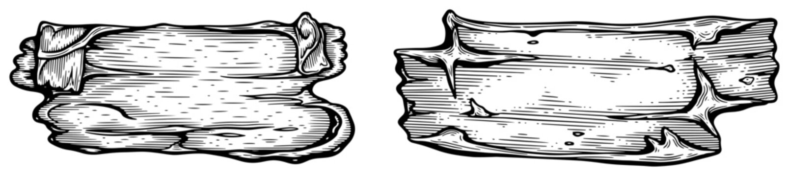 Vintage wooden planks and rustic scrolls set, empty wood signs for text, hand drawn engraving style vector illustration