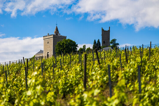 Clos Saint-Anthelme and the Tours de Chignin in the middle of the Savoie vineyard in spring
