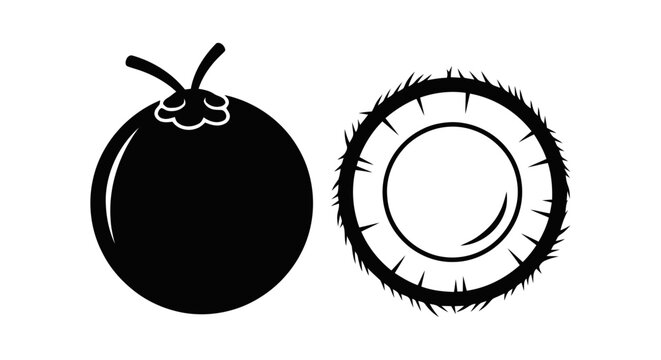 Vector illustration of vector illustration of a whole coconut and a coconut half on a transparent background