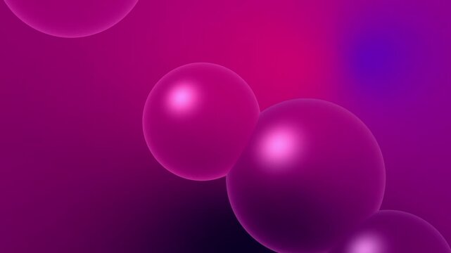Magenta Pink Purple Glass Bubbles Motion Background, Smooth Floating Bubbles Animation Seamless Loop, 4K