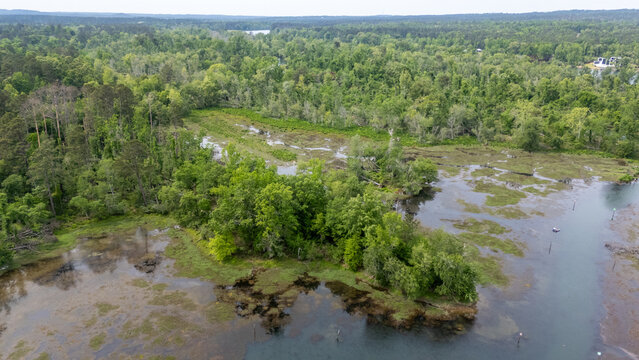 Aerial drone view of wetlands and shallow water along Bettys Branch, Georgia USA