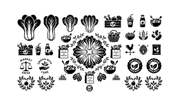 Professional bok choy vegetable silhouette icons fresh organic food vector set
