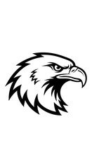 Fototapeta premium Close up line drawing of a majestic eagle in flight.