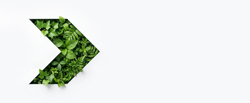 Arrow shape cut out from white paper revealing green tropical le
