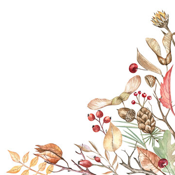 Autumn botanical corner design element for greeting cards, coasters, invitations, art prints, and more. Hand-drawn watercolor leaves, twigs, berries, acorns, pinecone, physalis, and maple keys