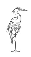 Elegant crane bird standing on one leg. © ramba