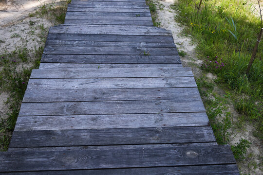 Weathered wooden boardwalk with greenery