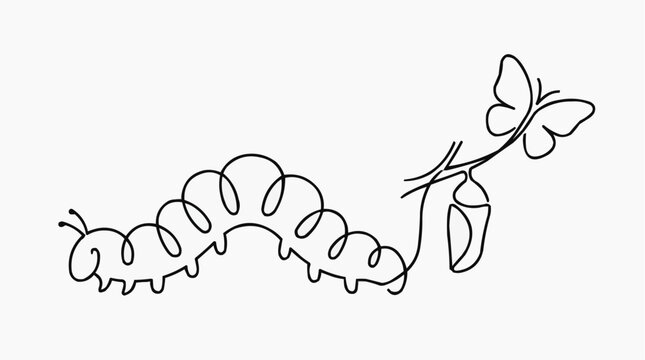 Metamorphosis: A simple line art illustration depicting the transformative journey from caterpillar to butterfly, showcasing the chrysalis stage in its natural evolution.