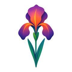 Obraz premium PNG Vibrant iris flower illustration