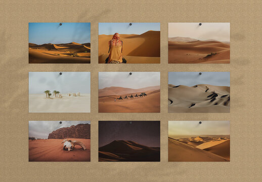 Photos Pinned on a Cork Board Mockup