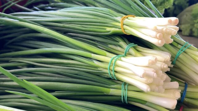 Bright spring onions bundled together with elastic bands on bazaar counter with fresh green texture and healthy countryside vegetable atmosphere close up.