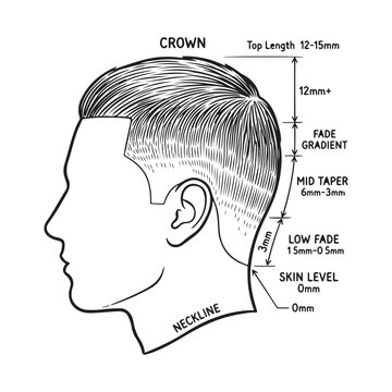 Haircut diagram showing fade and taper lengths on a male head profile