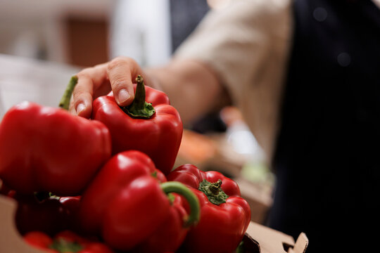 Trader filling up crates on zero waste shop shelves with homegrown red bell peppers from his own garden. Storekeeper restocking local neighborhood store with eco friendly food items, close up