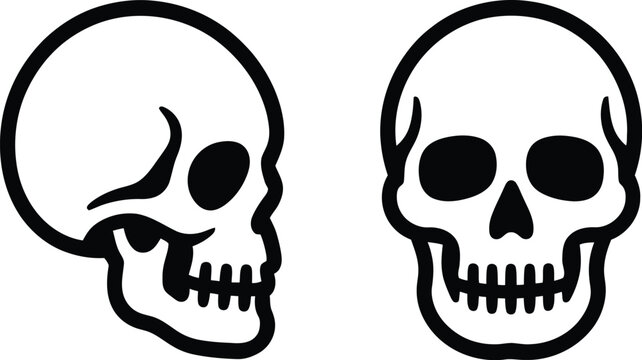 Skull and bones vector illustration on white background