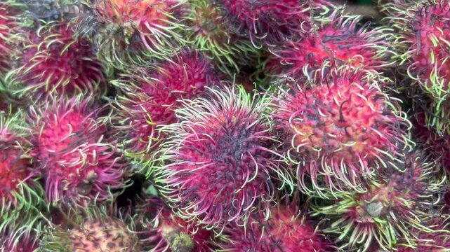 Fresh Rambutan Fruit Background Close Up of Red Tropical Rambutan at Local Market