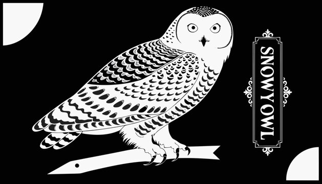 Very beautiful black-and-white engraved vector illustration featuring SNOWY OWL with intricate feather textures and a decorative label reading "SNOWY OWL".