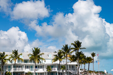 Cottage house architecture. Beach private exterior with palm tree. Hotel neighborhood. Residential...