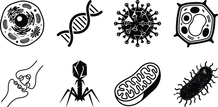 Biology and Microbiology Silhouette Icon Collection Featuring DNA, Cells, Viruses, Bacteria, and Mitochondria